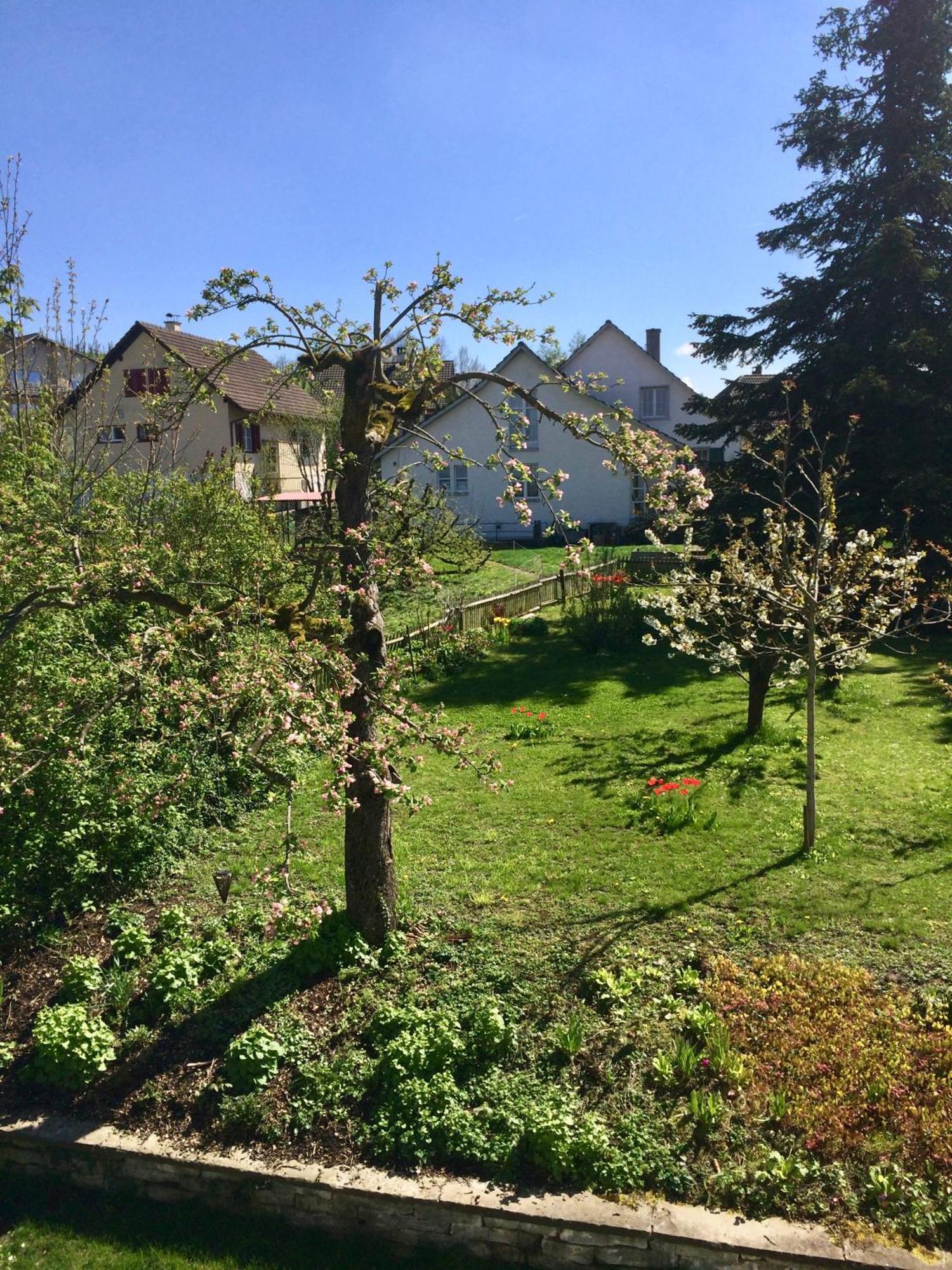 Guntli'S Family Guesthouse Andelfingen Экстерьер фото