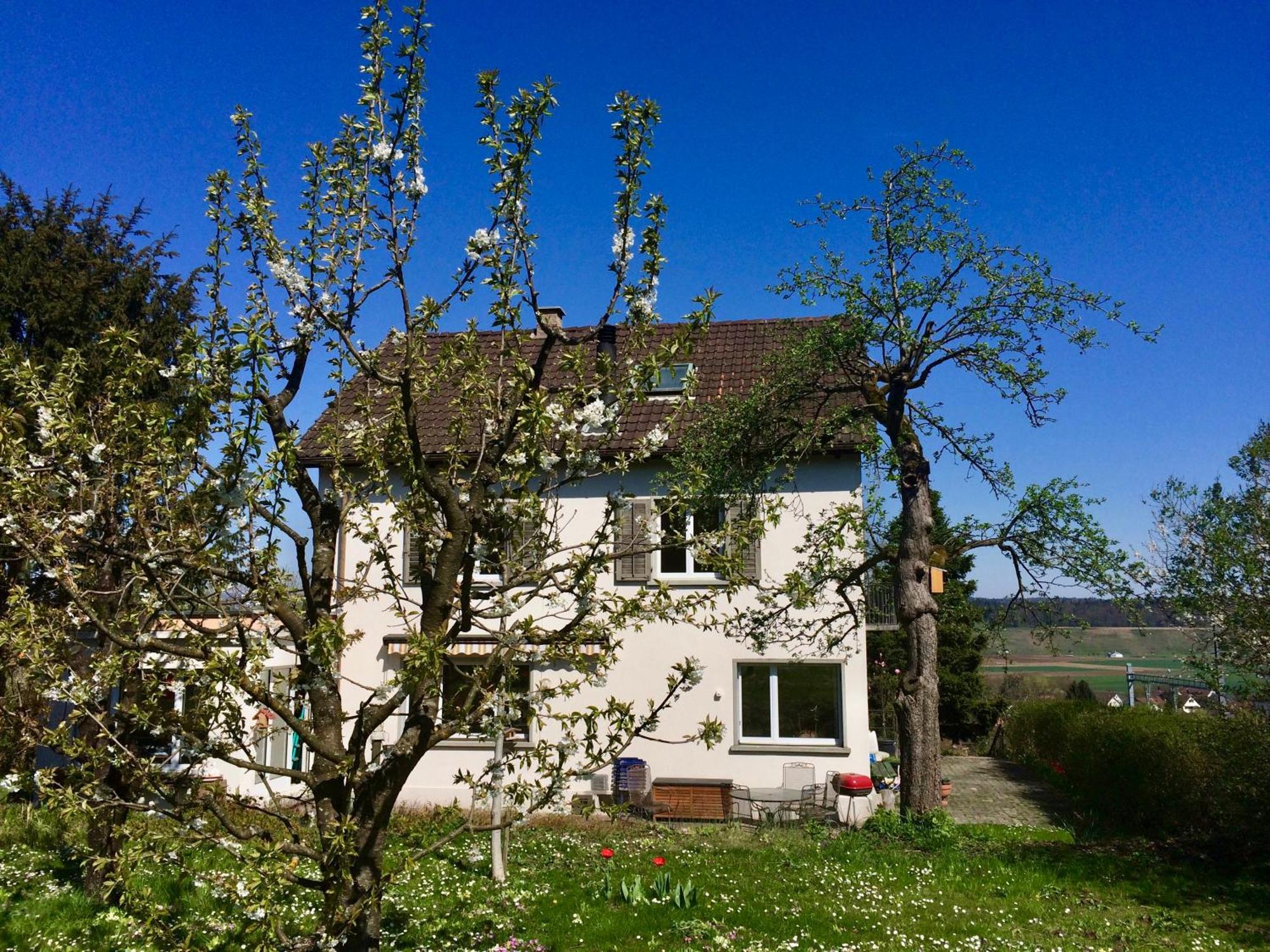 Guntli'S Family Guesthouse Andelfingen Экстерьер фото